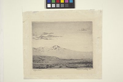 Desierto de Mojave de Wallace Leroy DeWolf
