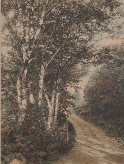 Westmore Drive de Wallace Nutting