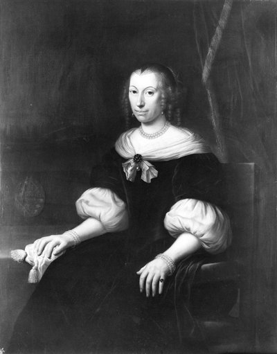  de Wallerant Vaillant