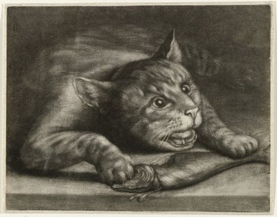 Gato con un pez de Wallerant Vaillant
