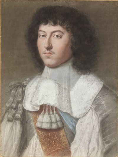 Retrato de Luis XIV, Rey de Francia de Wallerant Vaillant