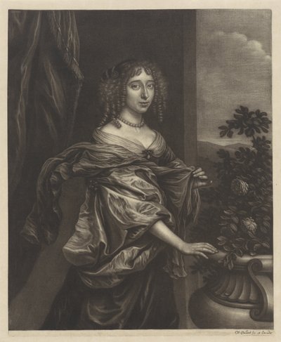 retrato, de, un, mujer, cerca, un, rosal de Wallerant Vaillant