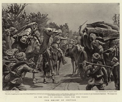 El Alivio de Chitral de Walter Charles Horsley