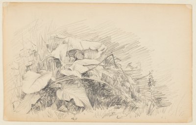 Estudio de hierba y plantas de Walter Clark