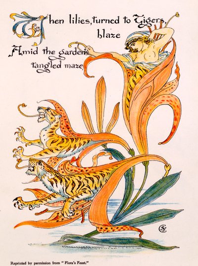 Lirios tigre, ilustración de 