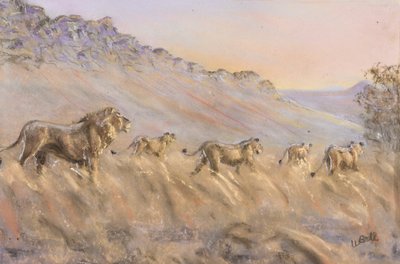 Leones africanos (pastel) de Walter D.M. Bell