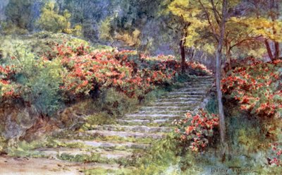 Azaleas junto a una vieja escalera, Kioto de Walter Frederick Roofe Tyndale