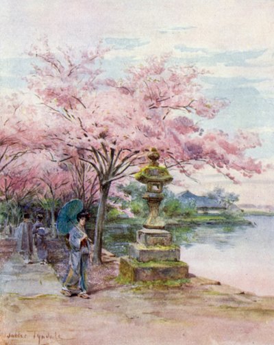 Flor de cerezo y linterna de piedra, Parque Ueno de Walter Frederick Roofe Tyndale