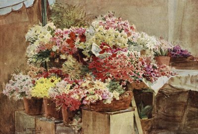 Puesto de flores, mercado de Mentone de Walter Frederick Roofe Tyndale