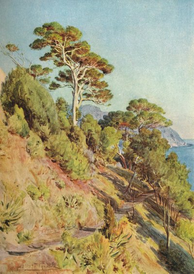 En la Villa Piuma, Sestri Levante, c1910, 1912 de Walter Frederick Roofe Tyndale