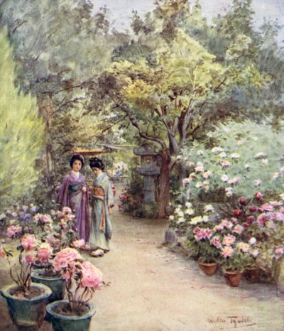 Peonías en un jardín de té, Kioto de Walter Frederick Roofe Tyndale