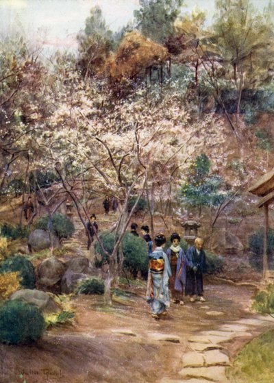 Cerezos en flor en Atami de Walter Frederick Roofe Tyndale