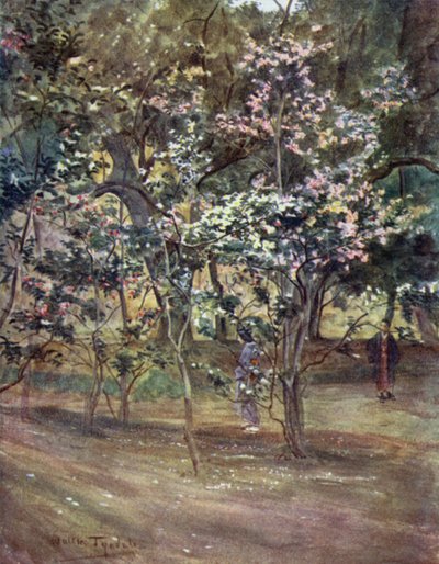 Camelias solitarias en el Parque Ueno, Tokio de Walter Frederick Roofe Tyndale