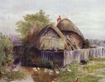 El Nuevo Bosque: Una cabaña en Bartley de Walter Frederick Roofe Tyndale