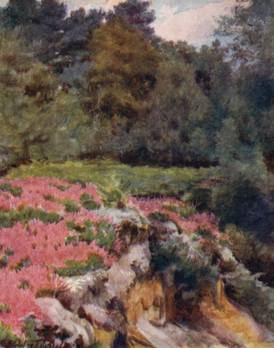 El Nuevo Bosque: Cabeza de pozo de grava en Royden (litografía a color) de Walter Frederick Roofe Tyndale