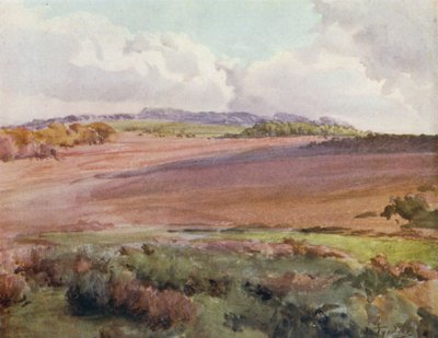 El Nuevo Bosque: A través de Malwood Walk desde la carretera a Fritham de Walter Frederick Roofe Tyndale