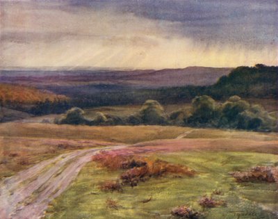 El Nuevo Bosque: Paseo Boldrewood, Puck Pitts, desde el camino Fritham (litografía a color) de Walter Frederick Roofe Tyndale