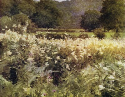 El Nuevo Bosque: Reina de los prados cerca de Royden de Walter Frederick Roofe Tyndale