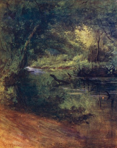 El Nuevo Bosque: Northgate, cerca de Culverley, en Lodge Walk de Walter Frederick Roofe Tyndale