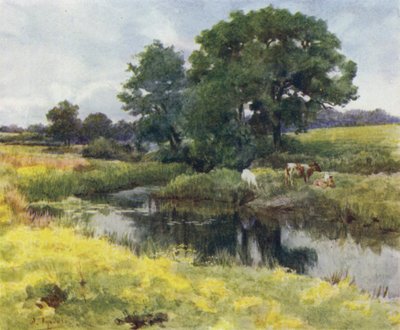 El Nuevo Bosque: En el río Lymington (litografía a color) de Walter Frederick Roofe Tyndale