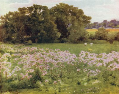El Nuevo Bosque: Riversdale, Boldre de Walter Frederick Roofe Tyndale