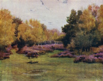 El Nuevo Bosque: Rushpole Wood, Lyndhurst de Walter Frederick Roofe Tyndale