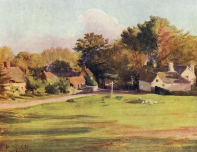 El Nuevo Bosque: Swan Green, Lyndhurst de Walter Frederick Roofe Tyndale