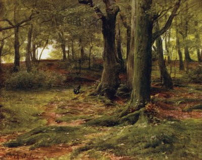 El Nuevo Bosque: The Hill Woods, Lyndhurst de Walter Frederick Roofe Tyndale