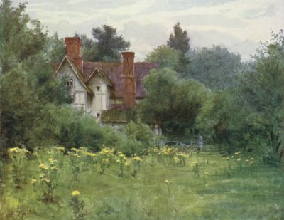 El Nuevo Bosque: La casa del molino, Brokenhurst de Walter Frederick Roofe Tyndale