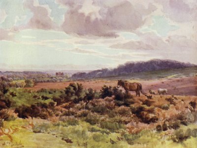 El Nuevo Bosque: Vista desde Picket Post en Ringwood Road de Walter Frederick Roofe Tyndale