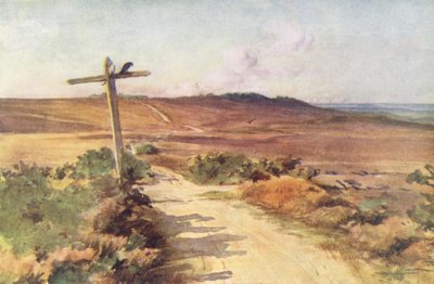 Wessex: Bere Heath en otoño, con Gallows Hill a lo lejos (litografía en color) de Walter Frederick Roofe Tyndale