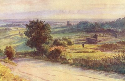 Wessex: Blackmore Vale desde Shaftesbury (litografía en color) de Walter Frederick Roofe Tyndale