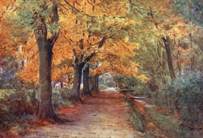 Wessex: Bockhampton Bank, cerca de Dorchester (litografía en color) de Walter Frederick Roofe Tyndale