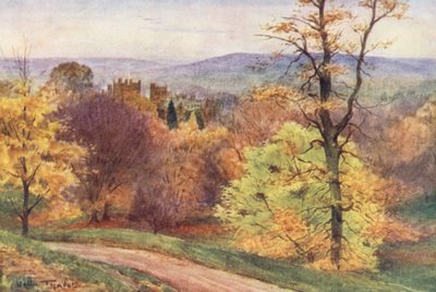 Wessex: Melbury Park (litografía en color) de Walter Frederick Roofe Tyndale