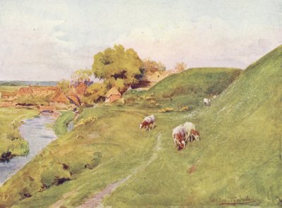 Wessex: En las antiguas murallas de Wareham (litografía en color) de Walter Frederick Roofe Tyndale