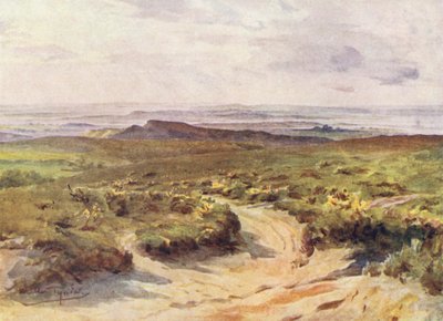 Wessex: Studland Heath, Poole Harbour en la distancia (litografía en color) de Walter Frederick Roofe Tyndale
