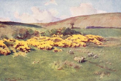 Wessex: Verano en Wessex (litografía en color) de Walter Frederick Roofe Tyndale
