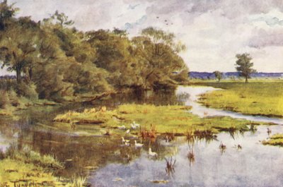 Wessex: El Frome desde el puente de Bockhampton (litografía en color) de Walter Frederick Roofe Tyndale