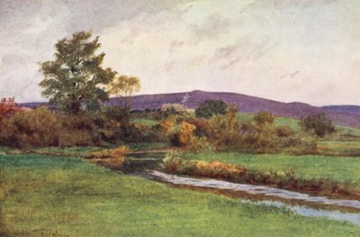Wessex: El "Rainbarrow" del Retorno del Nativo (litografía en color) de Walter Frederick Roofe Tyndale