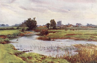 Wessex: The Stour, Wimborne Minster in the distance (litografía en color) de Walter Frederick Roofe Tyndale