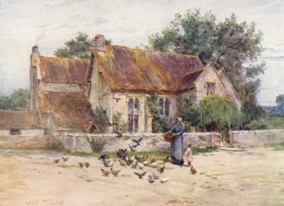 Wessex: Woodlands near Mere, Wilts (litografía en color) de Walter Frederick Roofe Tyndale