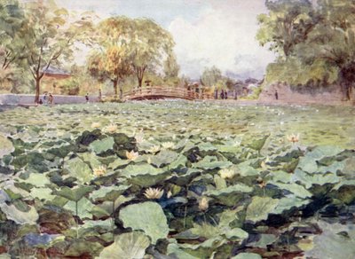 Loto blanco, el foso del castillo, Kofu de Walter Frederick Roofe Tyndale