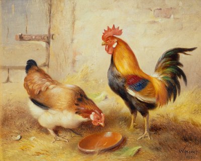 Alimentación de pollos de Walter Hunt