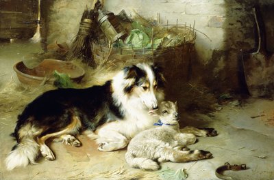 Huérfano - La mascota del pastor de Walter Hunt
