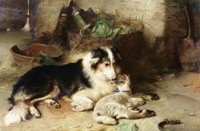 Huérfano: La Mascota del Pastor de Walter Hunt