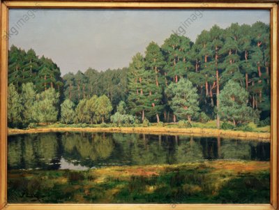 Paisaje forestal con un lago de Märkisch de Walter Leistikow