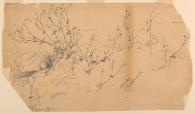 Estudio de la naturaleza de Walter Shirlaw
