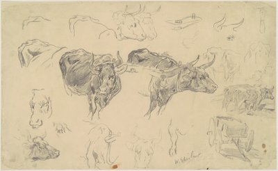 Estudios de bueyes de Walter Shirlaw