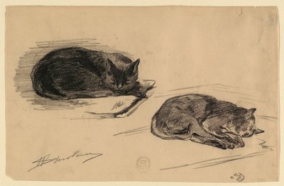 Estudio de gatos de Walter Shirlaw