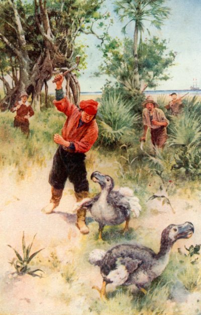 Marineros holandeses persiguiendo a los dodos (litografía en color) de Walter Stanley Paget
